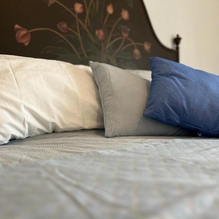 Agriturismo Il Campagnino Cremona Dış mekan fotoğraf