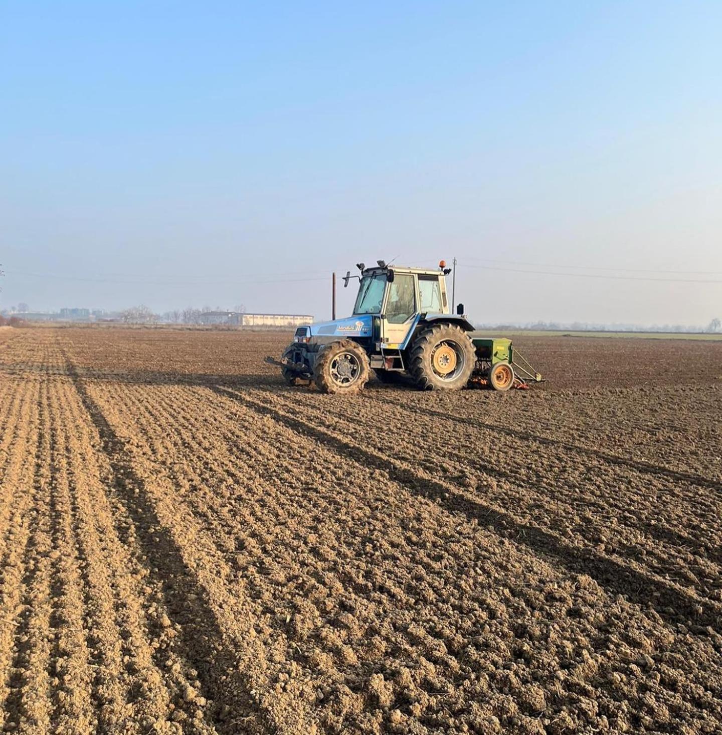Agriturismo Il Campagnino Cremona Dış mekan fotoğraf