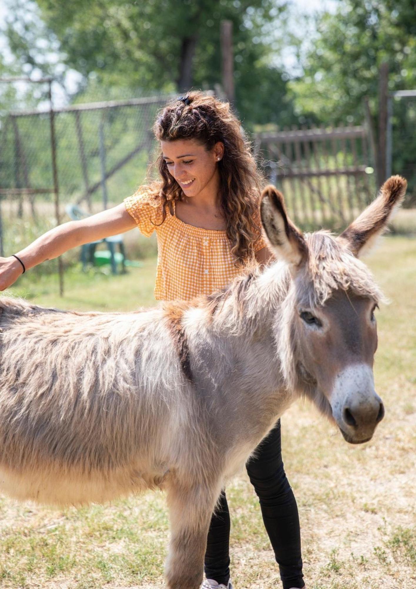 Agriturismo Il Campagnino Cremona Dış mekan fotoğraf